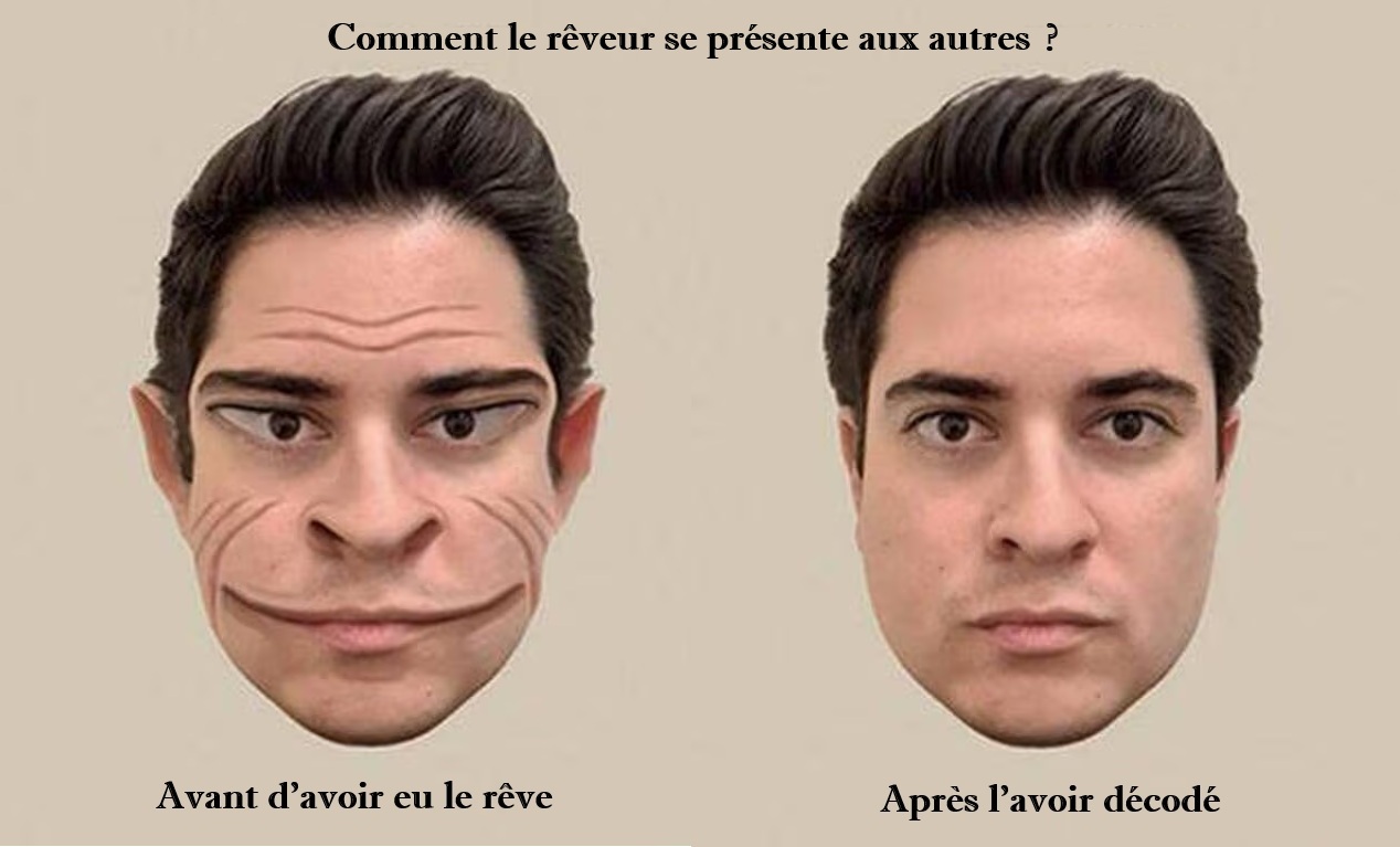 Evolution d'un visage